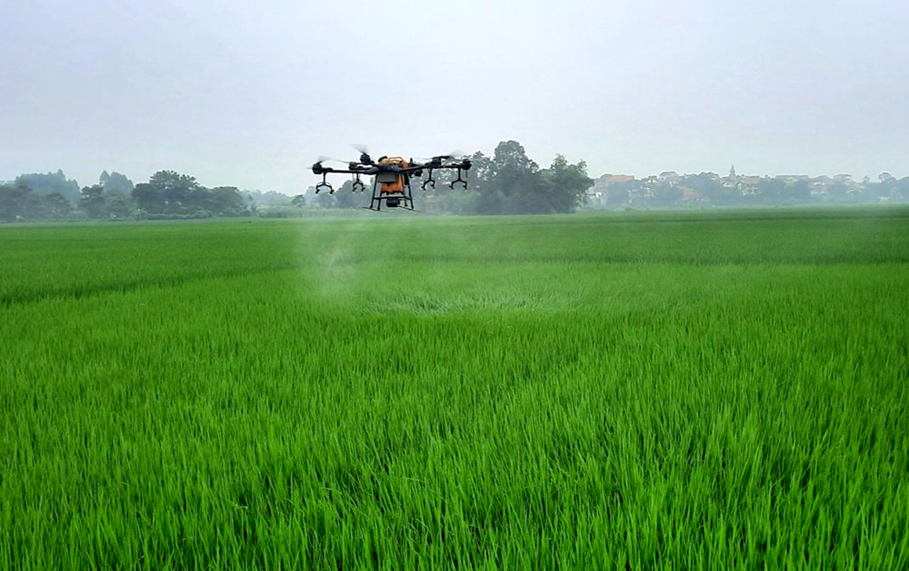 Hoạt động khoa học địa phương: Trên 70% được ứng dụng