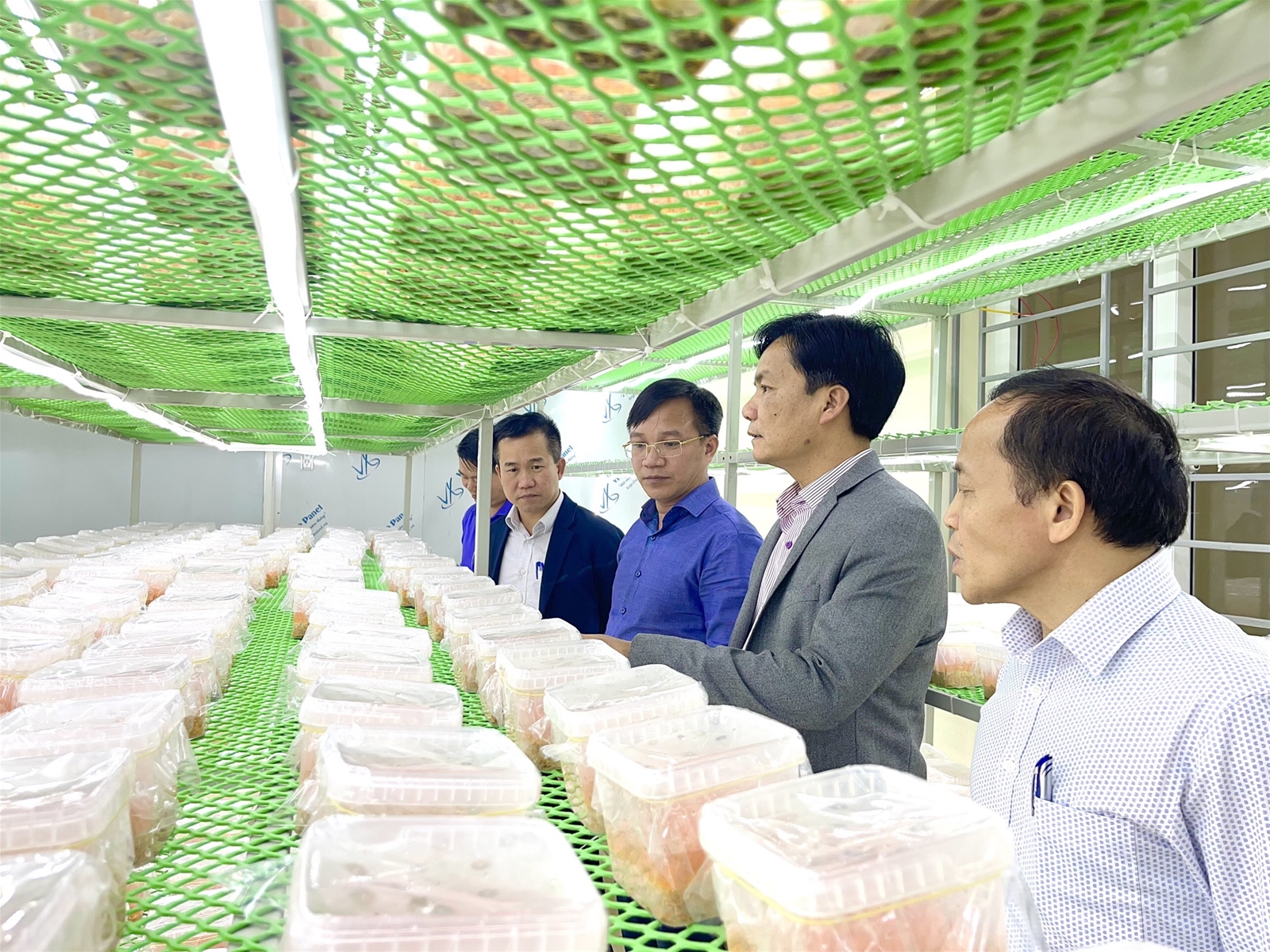 Kiểm tra tiến độ thực hiện dự án: Ứng dụng tiến bộ khoa học công nghệ xây dựng mô hình sản xuất giống, nuôi trồng và chế biến nấm Đông trùng hạ thảo Cordyceps militaris tại Phú Thọ