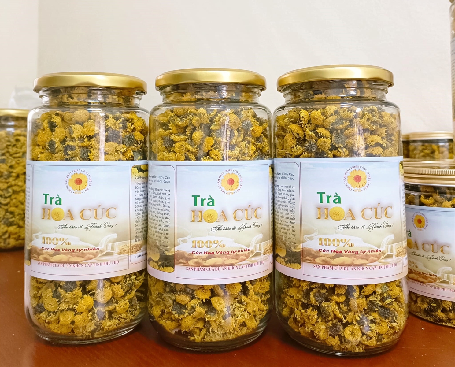 Ứng dụng khoa học và kỹ thuật sản xuất thành công Trà cúc hoa vàng  trên địa bàn tỉnh Phú Thọ