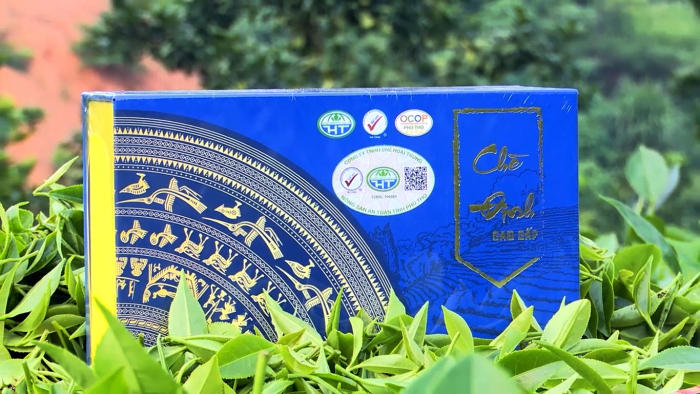 “Trà đinh cao cấp Hoài Trung” được công nhận là sản phẩm OCOP 5 sao cấp quốc gia đầu tiên của tỉnh Phú Thọ