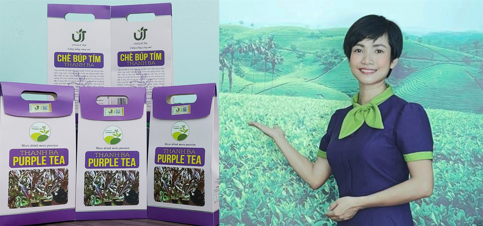 Chị Lê Thị Hồng Phương - Gìn giữ, bảo tồn và phát triển chè búp tím Thanh Ba