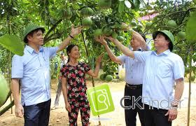 Xây dựng nhãn hiệu cho các sản phẩm nông nghiệp đặc trưng của tỉnh