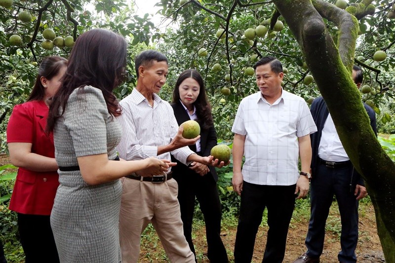 Nâng cao hiệu quả quản lý nhà nước về sở hữu trí tuệ thông qua hoạt động hỗ trợ, phát triển tài sản trí tuệ