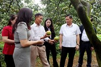 Nâng cao hiệu quả quản lý nhà nước về sở hữu trí tuệ thông qua hoạt động hỗ trợ, phát triển tài sản trí tuệ