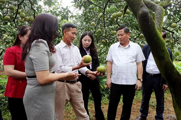Nâng cao hiệu quả quản lý nhà nước về sở hữu trí tuệ thông qua hoạt động hỗ trợ, phát triển tài sản trí tuệ