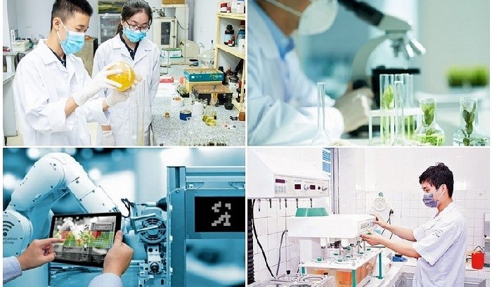 Quy định thẩm quyền quyết định việc mua sắm tài sản của các nhiệm vụ khoa học và công nghệ