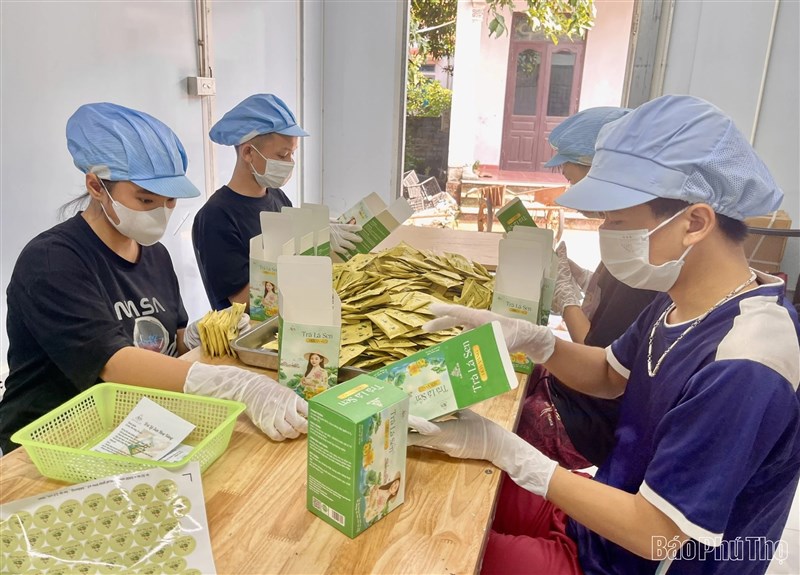 Tăng giá trị nông sản theo tiêu chuẩn VietGAP