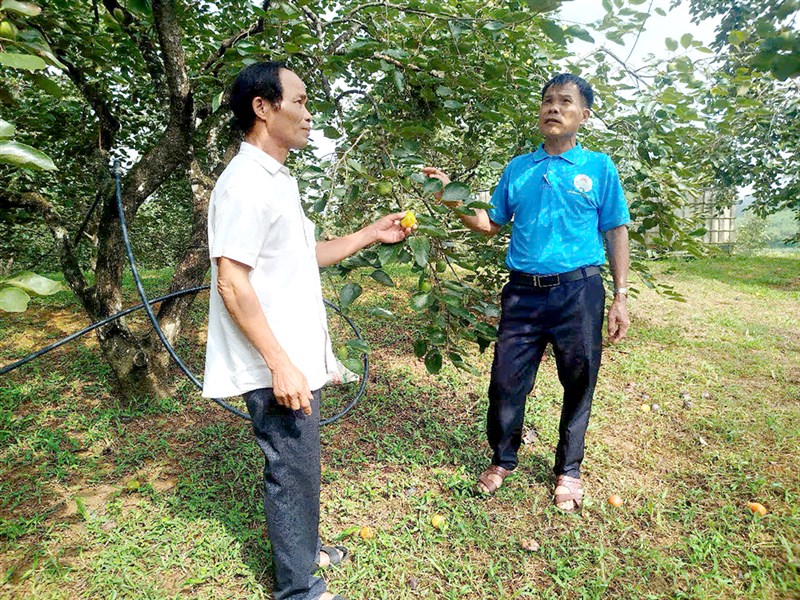 Thi đua đổi mới sáng tạo, chuyển đổi số