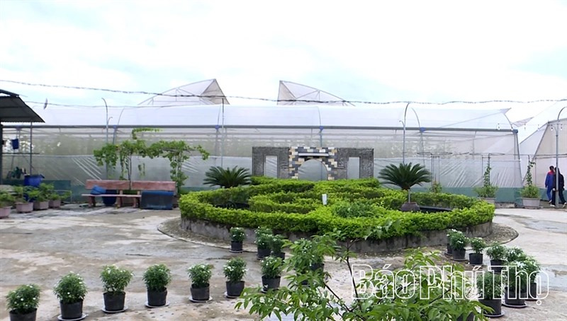 Kỳ 2: Chuyển đổi số: “chìa khóa vàng” cho nông nghiệp Đất Tổ