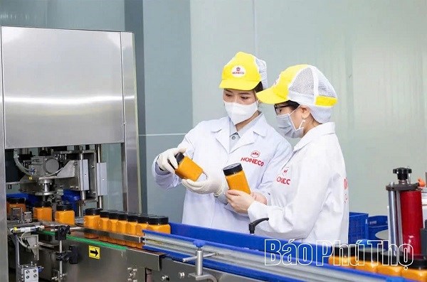 Người đem thương hiệu “Mật ong Tam Đảo” ra thế giới