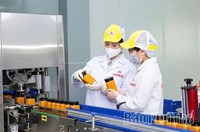 Người đem thương hiệu “Mật ong Tam Đảo” ra thế giới