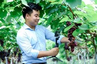 Chuyển đổi số - Bước đột phá xây dựng nền nông nghiệp thông minh