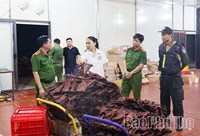 Chặn đứng hàng giả, hàng nhái: Mệnh lệnh hành động vì cộng đồng - Bài 1: Hàng giả “bủa vây” người tiêu dùng