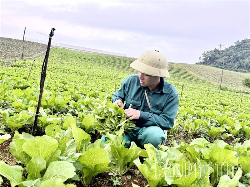Đẩy mạnh chuyển đổi số trong doanh nghiệp, hợp tác xã