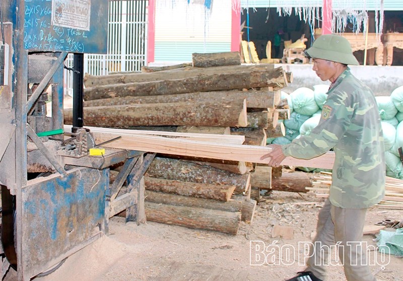 Xã Chí Đám thúc đẩy phát triển sản xuất hướng hàng hóa