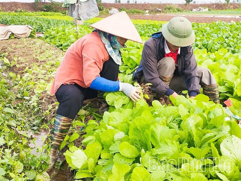 Nâng tầm nông sản bằng tư duy và công nghệ xanh