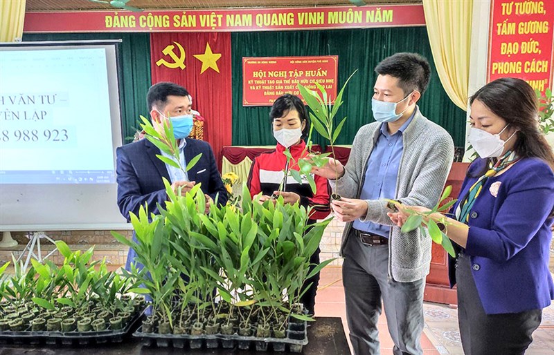 Xây dựng mô hình sản xuất bầu hữu cơ siêu nhẹ