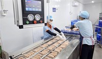 Doanh nghiệp chế biến thực phẩm đẩy mạnh sản xuất, sẵn sàng nguồn cung dịp Tết
