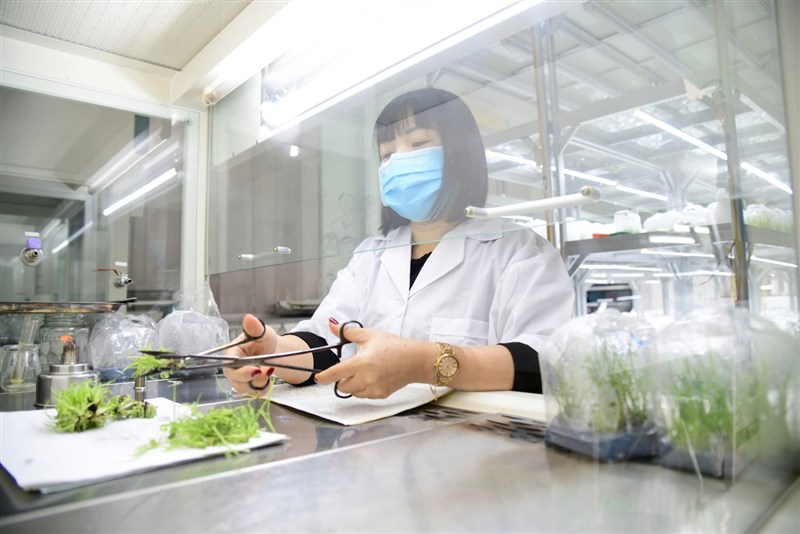 Khơi thông động lực trong kỷ nguyên số