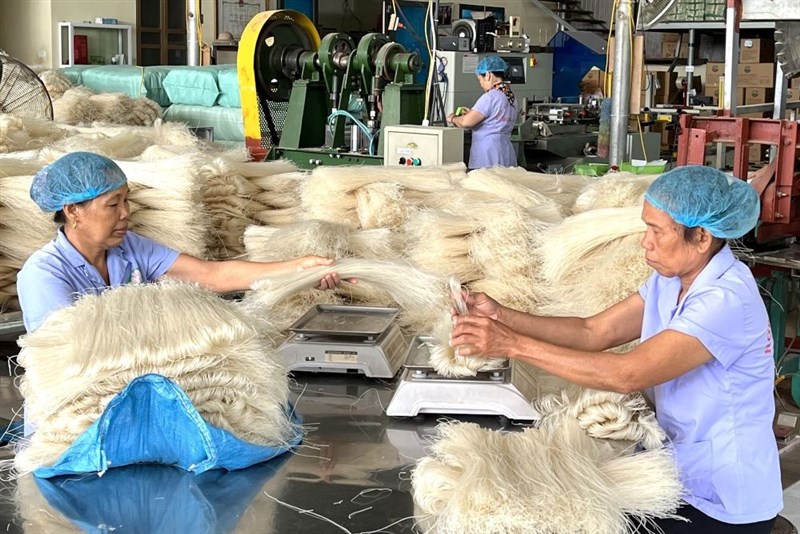 Phú Thọ có 3 đơn vị được tôn vinh và nhận giải thưởng Ngôi sao Hợp tác xã năm 2025 “CoopStar Awards”