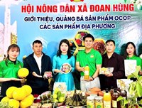 Hỗ trợ xúc tiến thương mại - “Đòn bẩy” đưa nông sản Đất Tổ vươn xa