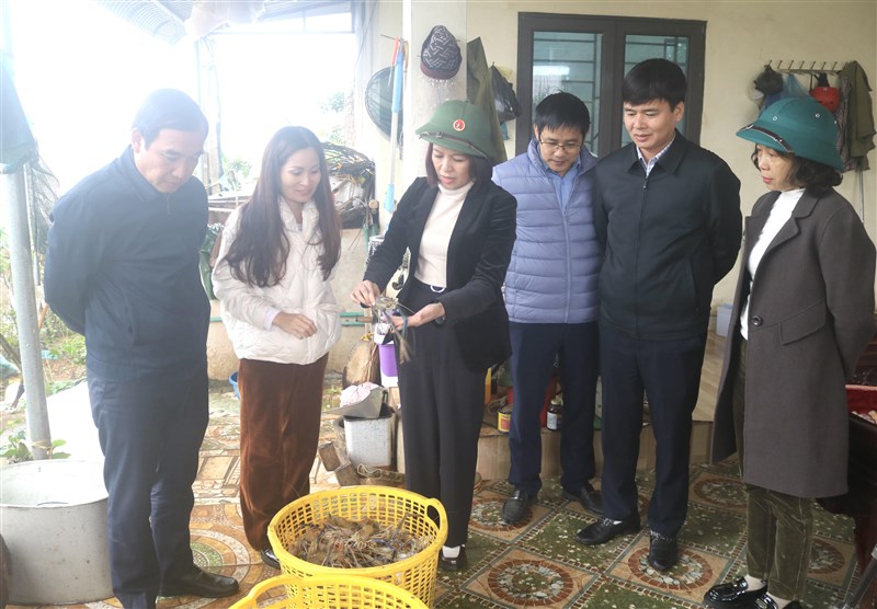 Kiểm tra tiến độ dự án: Tạo lập, quản lý và phát triển nhãn hiệu chứng nhận “Cẩm Khê” cho sản phẩm Tôm càng xanh huyện Cẩm Khê,  tỉnh Phú Thọ