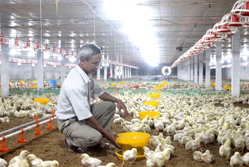 Ứng dụng khoa học công nghệ trong sản xuất nông nghiệp