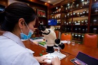 Thu hút chuyên gia khoa học công nghệ, đổi mới sáng tạo và chuyển đổi số