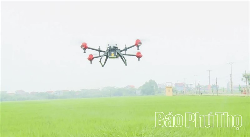 Cơ giới hóa trong sản xuất nông nghiệp ở Phú Thọ