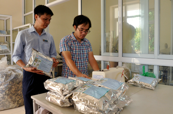 Lợi ích kinh tế nhờ sử dụng chế phẩm thảo dược thay thế kháng sinh trong thức ăn chăn nuôi lợn