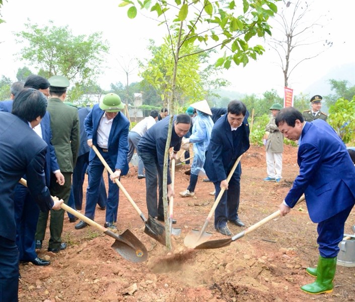 Phát động Tết trồng cây “Đời đời nhớ ơn Bác Hồ” Xuân Ất Tỵ năm 2025