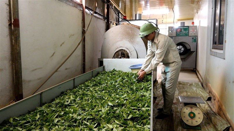 Thúc đẩy áp dụng Hệ thống quản lý, công cụ cải tiến năng suất, chất lượng tại các Hợp tác xã trên địa bàn tỉnh Phú Thọ