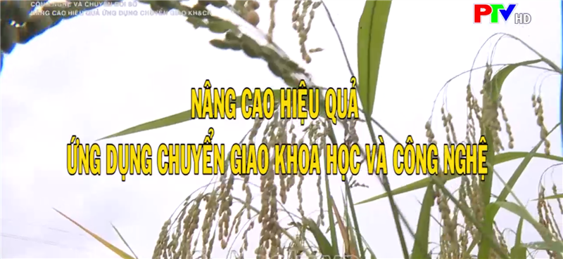 Nâng cao hiệu quả ứng dụng chuyển giao KHCN