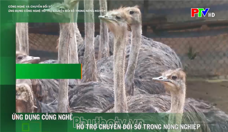 Ứng dụng công nghệ hỗ trợ chuyển đổi số trong nông nghiệp