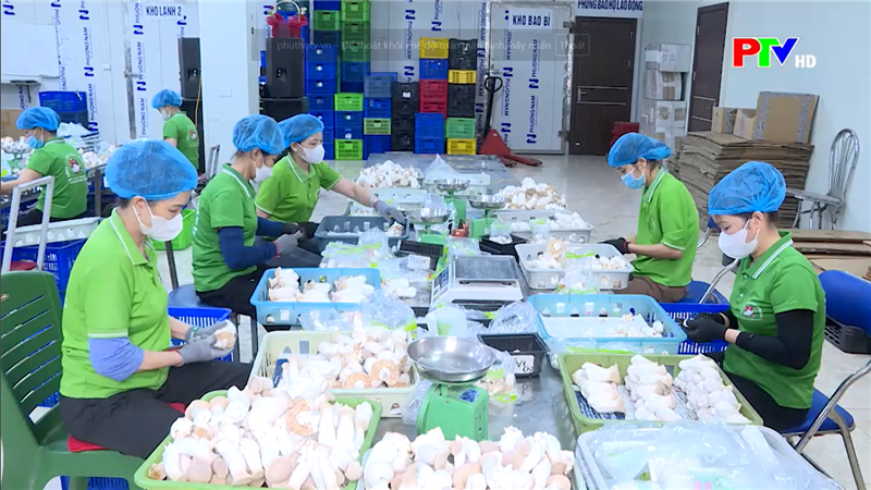 Chương trình 1322 - Động lực thúc đẩy địa phương nâng cao năng suất, chất lượng