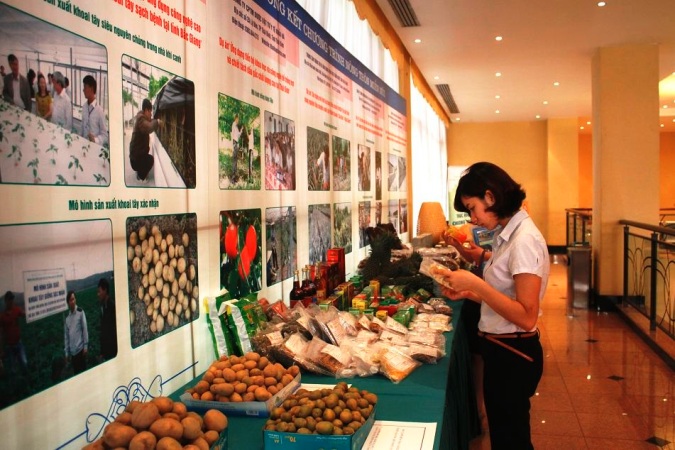 Khoa học công nghệ góp phần thay đổi diện mạo nông thôn miền núi