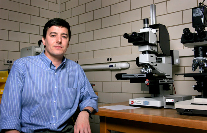 Da điện tử theo dõi sóng não