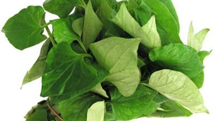 9 bài thuốc từ rau diếp cá cực hay