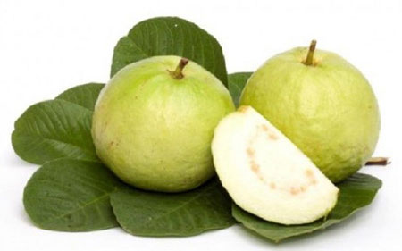 Ăn ổi gây táo bón - đúng hay sai?