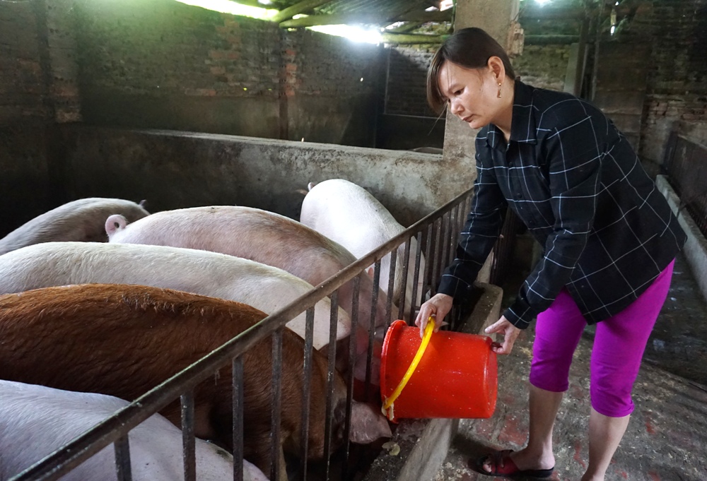 Vận động, hỗ trợ phụ nữ sáng tạo khởi nghiệp