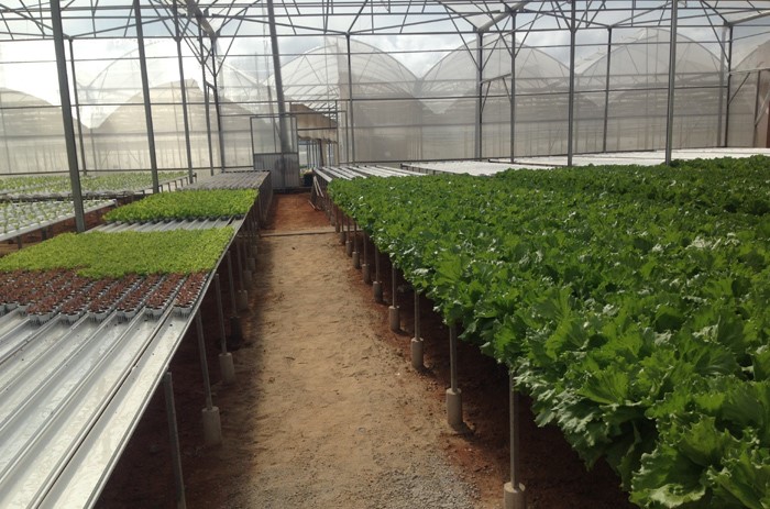 Chương trình chuyển giao khoa học công nghệ trong nông nghiệp đã đem lại hiệu quả cao