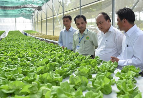 Thủ tướng: Chính phủ luôn ủng hộ cách làm nông nghiệp công nghệ cao