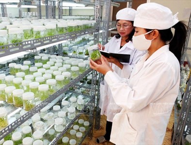 Bổ sung cơ quan thanh tra ngành Khoa học và Công nghệ