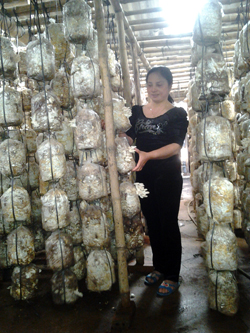 Thanh Thủy: Đào tạo nghề gắn với việc làm tại địa phương