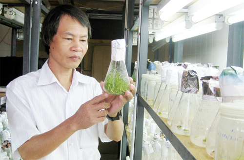 Trí thức khoa học tích cực tham gia xây dựng và phát triển tỉnh Phú Thọ