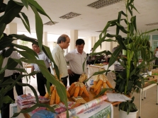 Tăng cường nhiệm vụ quản lý nhà nước về KH&CN địa phương