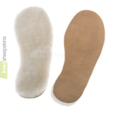  Nghiên cứu ứng dụng nano bạc sát khuẩn nhằm nâng cao chất lượng sản phẩm lót giầy