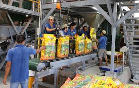 Đề xuất cơ chế khuyến khích đổi mới công nghệ sản xuất phân bón