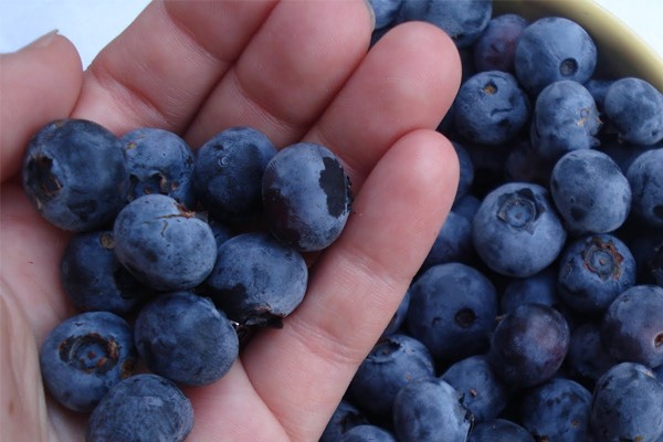 Tác dụng không ngờ từ 4 loại thực phẩm quen thuộc