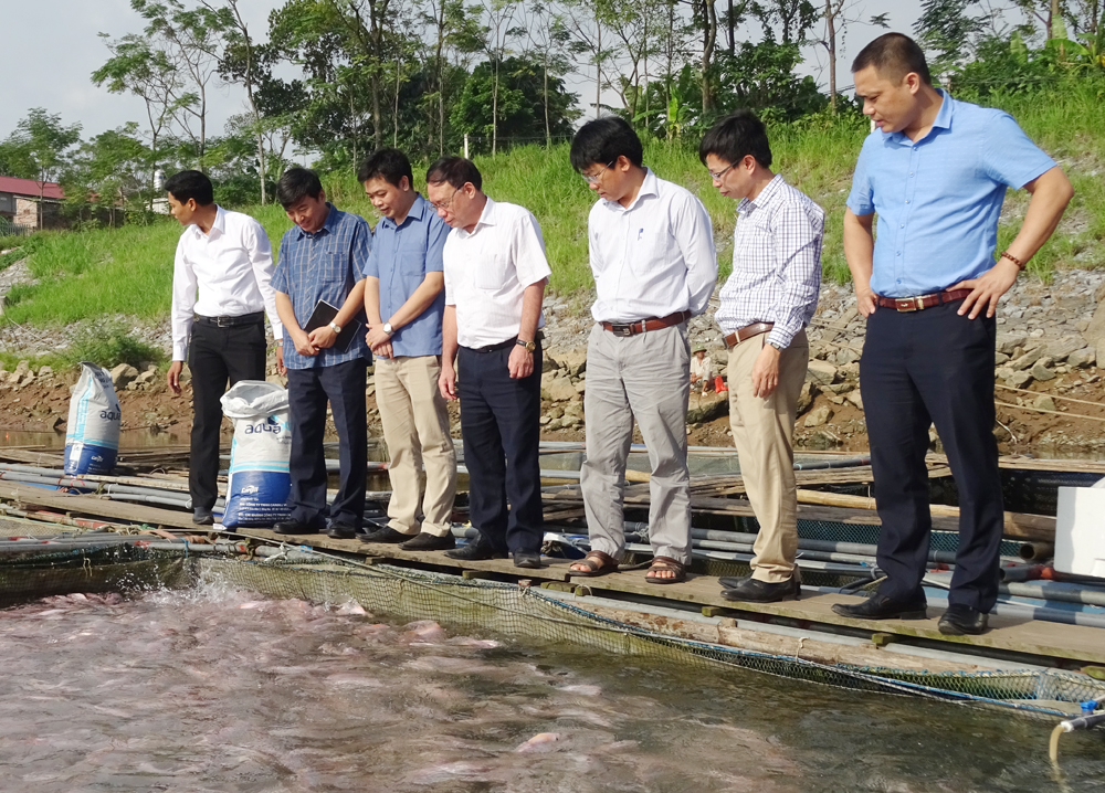 Nâng cao chất lượng nông lâm sản và thủy sản